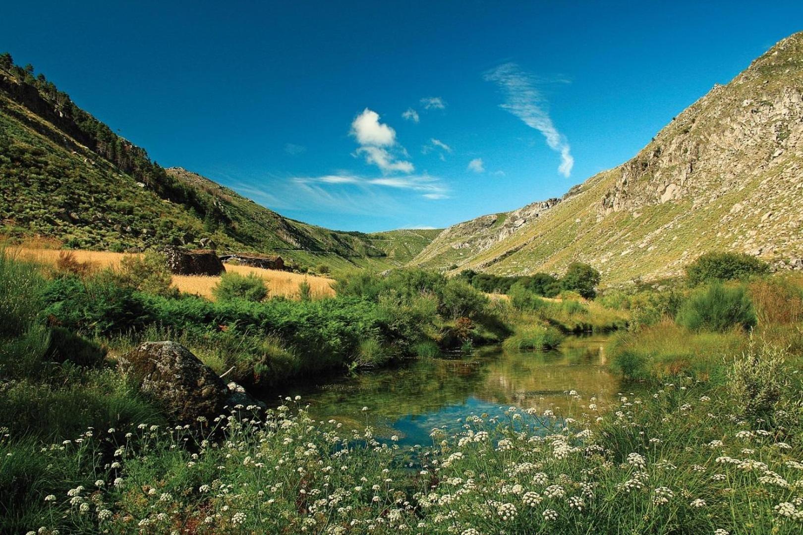 Quinta Da Estrela Βίλα Ponte Nova Εξωτερικό φωτογραφία